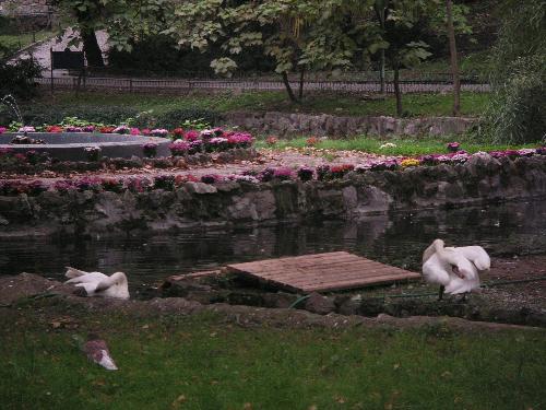 Bucharest - This picture is made when I was in Cismigiu Park in Bucharest.:) A romantic one:)