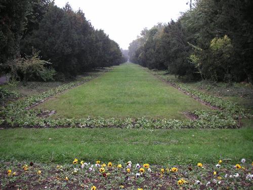 Bucharest - This picture is made when I was in Cismigiu Park in Bucharest.:) A romantic one:):d