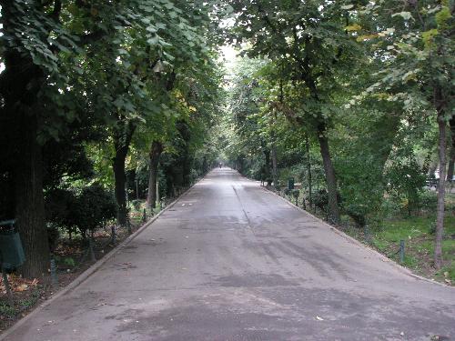 Bucharest - A road to love.. in Cismigiu park in Bucharest.. I love that park.