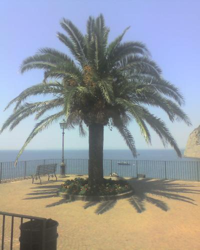 Italy - Here are some pictures I made when I was in Italy!I really like that country!