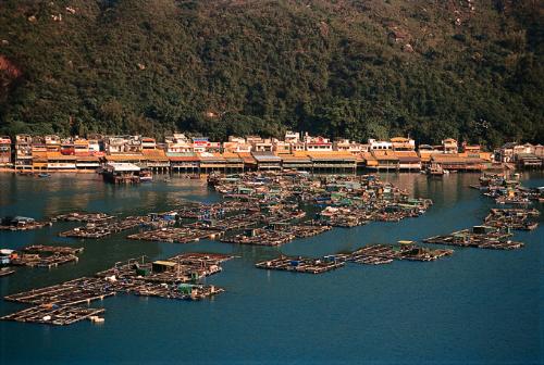 Hong Kong city - Hong Kong city
