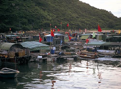 Hong Kong city - Hong Kong
