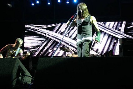 red hot chili peppers - red hot chili peppers