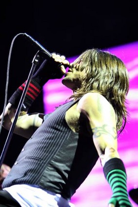 red hot chili peppers - red hot chili peppers