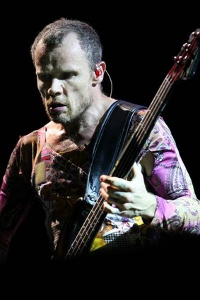 red hot chili peppers - red hot chili peppers