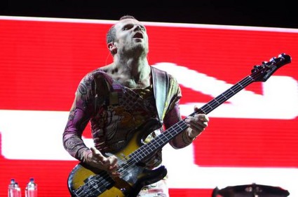 red hot chili peppers - red hot chili peppers