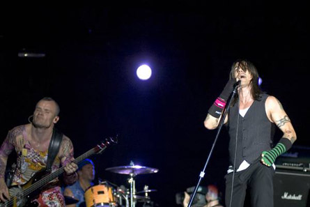 red hot chili peppers - red hot chili peppers