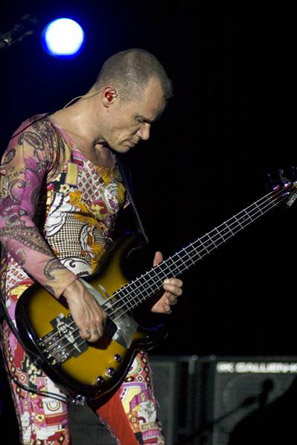red hot chili peppers - red hot chili peppers