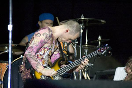 red hot chili peppers - red hot chili peppers