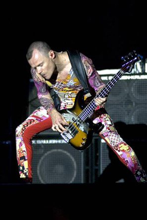 red hot chili peppers - red hot chili peppers