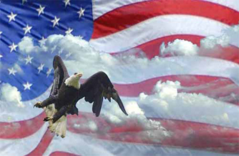 America - Our country's national symbol.