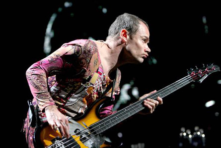 red hot chili peppers - red hot chili peppers