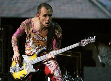 red hot chili peppers - red hot chili peppers