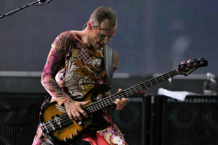 red hot chili peppers - red hot chili peppers