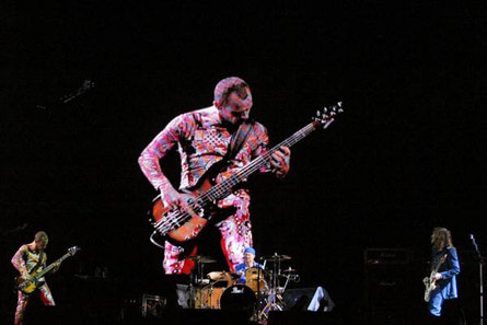 red hot chili peppers - red hot chili peppers