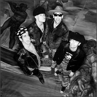 red hot chili peppers - red hot chili peppers