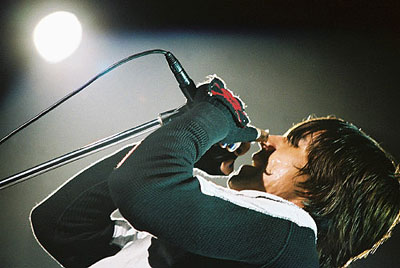red hot chili peppers - red hot chili peppers