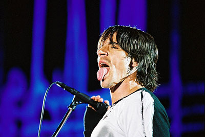 red hot chili peppers - red hot chili peppers