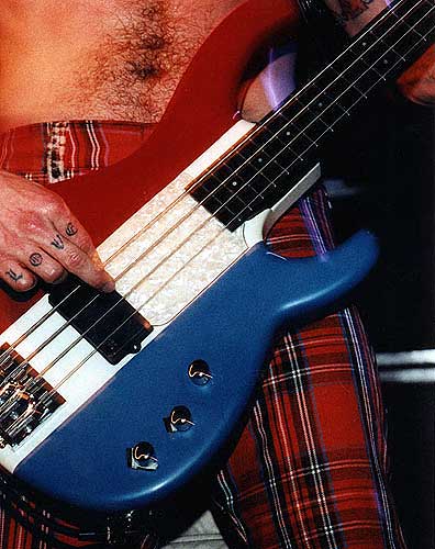 red hot chili peppers - red hot chili peppers