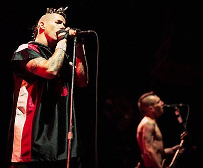 red hot chili peppers - red hot chili peppers