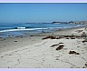 beach in california - beach in santa barbara california area