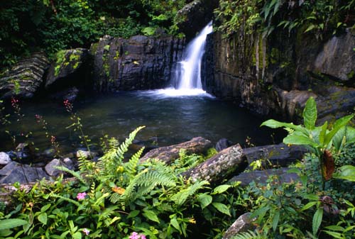 El Yunque, Puerto Rico - Waterfall at el Yunque rain forest in Puerto Rico
