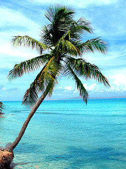 Vieques, Puerto Rico - Sea view at the island of Vieques, Puerto Rico