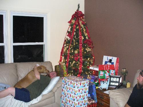 Our Christmas Tree 2006 - This is our first Christmas tree since we moved to Florida. And our newly painted brown wall in the living room. I love it!