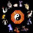chinese astrology - chinese astrology