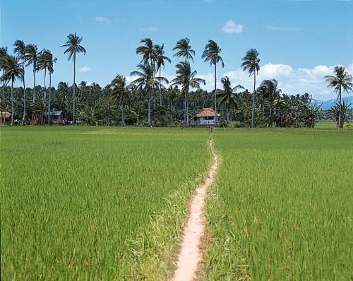 Philippines - Philippines