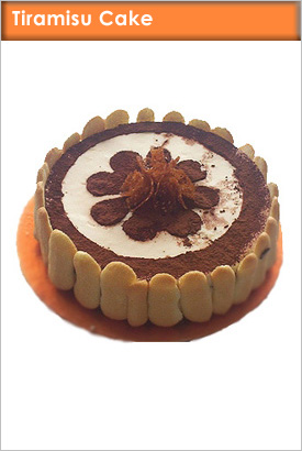 tiramisu - this is a picture of the yummy Italian dessert Tiramisu, it's very rich in chocolate and coffee flavors