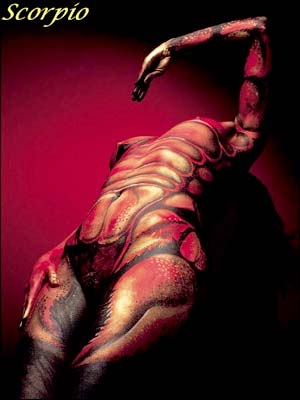 scorpio - this is a scorpion. the stars form a figure showing a scorpion with its tail lifted. it is ready for an attack or a fight