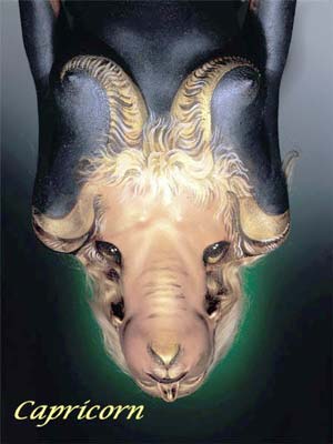 capricorn - this represents the face of an animal. the face is a womans head with horns painted at her neck