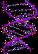 DNA - Evolution or Creationism