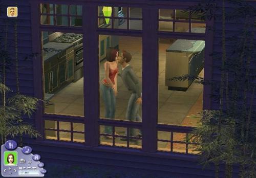the sims 2 - the sims 2