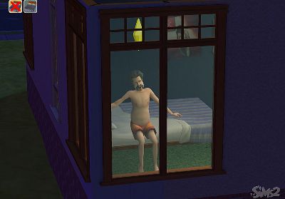 the sims 2 - the sims 2