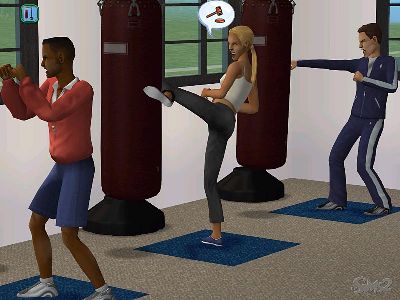 the sims 2 - the sims 2