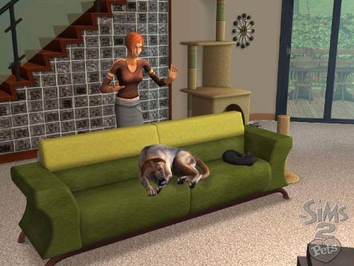 the sims 2 - the sims 2