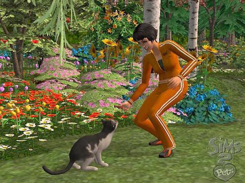 the sims 2 - the sims 2