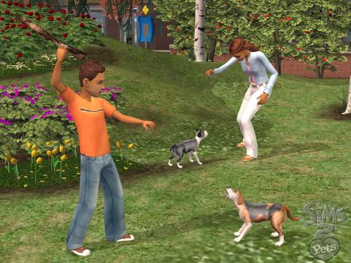 the sims 2 - the sims 2