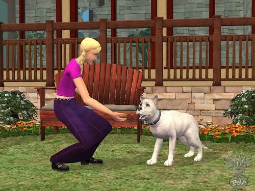 the sims 2 - the sims 2