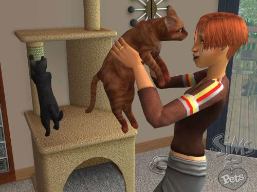 the sims 2 - the sims 2