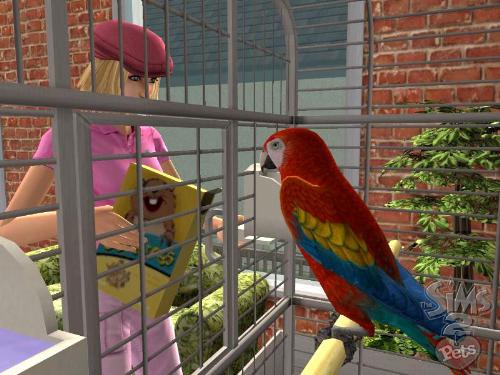 the sims 2 - the sims 2