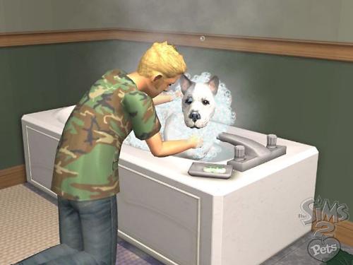 the sims 2 - the sims 2