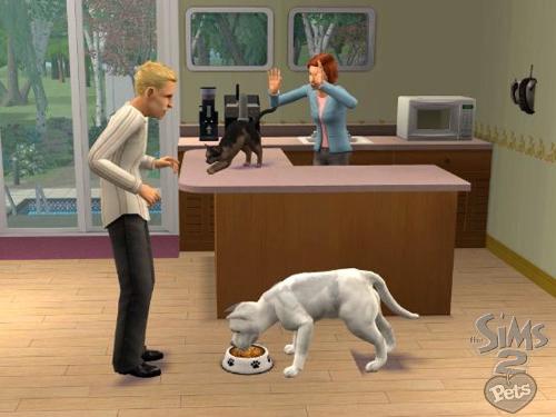 the sims 2 - the sims 2