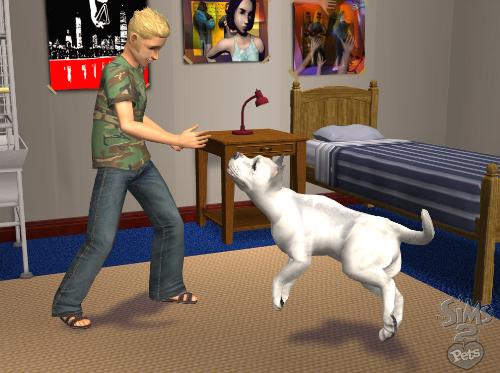 the sims 2 - the sims 2