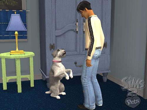 the sims 2 - the sims 2