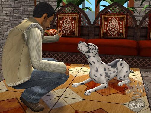 the sims 2 - the sims 2