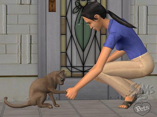 the sims 2 - the sims 2
