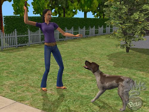 the sims 2 - the sims 2
